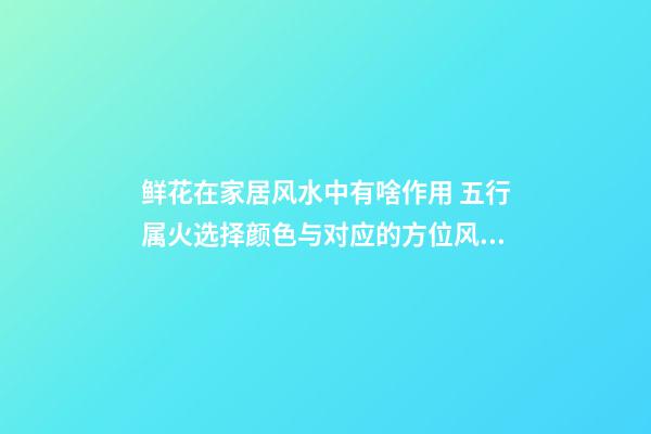 鲜花在家居风水中有啥作用 五行属火选择颜色与对应的方位风水有